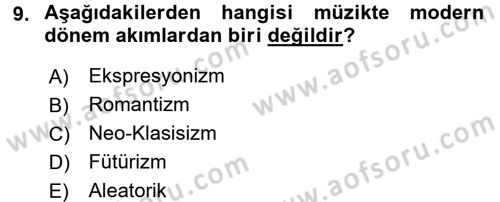 Güzel Sanatlar Dersi 2018 - 2019 Yılı (Vize) Ara Sınav Soruları 9. Soru