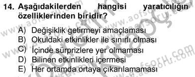 Görsel Sanatlar Eğitimi Dersi 2012 - 2013 Yılı (Vize) Ara Sınav Soruları 14. Soru