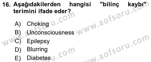 Havacılık Terminolojisi Dersi 2023 - 2024 Yılı (Final) Dönem Sonu Sınav Soruları 16. Soru