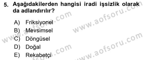 Havacılık Ekonomisi Dersi 2023 - 2024 Yılı (Vize) Ara Sınav Soruları 5. Soru