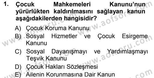 Sosyal Hizmete Giriş Dersi 2012 - 2013 Yılı (Final) Dönem Sonu Sınav Soruları 1. Soru