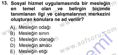 Sosyal Hizmete Giriş Dersi 2012 - 2013 Yılı (Final) Dönem Sonu Sınav Soruları 13. Soru