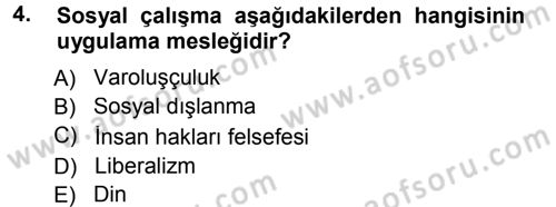 Sosyal Hizmete Giriş Dersi 2012 - 2013 Yılı (Final) Dönem Sonu Sınav Soruları 4. Soru