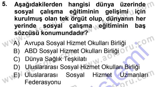 Sosyal Hizmete Giriş Dersi 2012 - 2013 Yılı (Final) Dönem Sonu Sınav Soruları 5. Soru