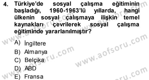 Sosyal Hizmete Giriş Dersi 2013 - 2014 Yılı (Vize) Ara Sınav Soruları 4. Soru