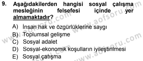 Sosyal Hizmete Giriş Dersi 2014 - 2015 Yılı Tek Ders Sınav Soruları 9. Soru