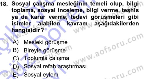 Sosyal Hizmete Giriş Dersi Ara Sınavı Deneme Sınav Soruları 18. Soru