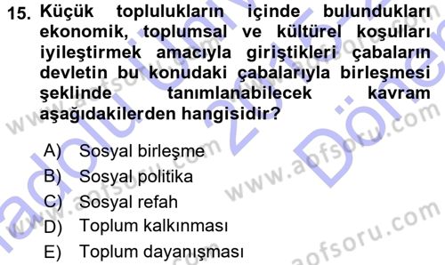 Sosyal Hizmete Giriş Dersi 2015 - 2016 Yılı (Final) Dönem Sonu Sınav Soruları 15. Soru