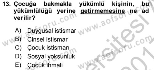 Sosyal Hizmete Giriş Dersi 2016 - 2017 Yılı 3 Ders Sınav Soruları 13. Soru