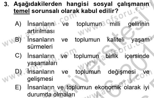 Sosyal Hizmete Giriş Dersi 2016 - 2017 Yılı 3 Ders Sınav Soruları 3. Soru
