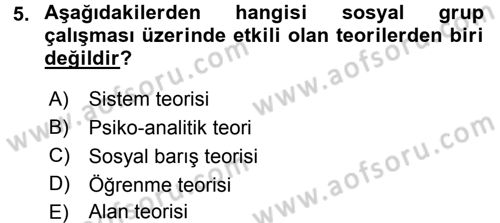 Sosyal Hizmete Giriş Dersi 2016 - 2017 Yılı 3 Ders Sınav Soruları 5. Soru