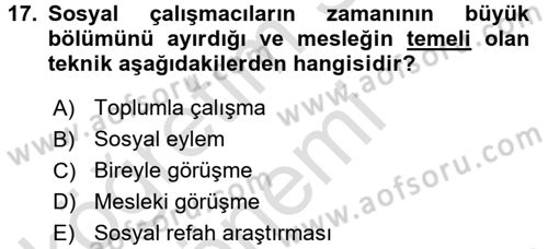 Sosyal Hizmete Giriş Dersi Ara Sınavı Deneme Sınav Soruları 17. Soru