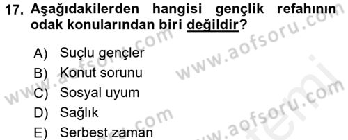 Sosyal Hizmete Giriş Dersi 2017 - 2018 Yılı 3 Ders Sınav Soruları 17. Soru