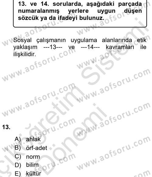 Sosyal Hizmete Giriş Dersi Ara Sınavı Deneme Sınav Soruları 13. Soru