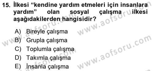 Sosyal Hizmete Giriş Dersi 2017 - 2018 Yılı (Vize) Ara Sınav Soruları 15. Soru