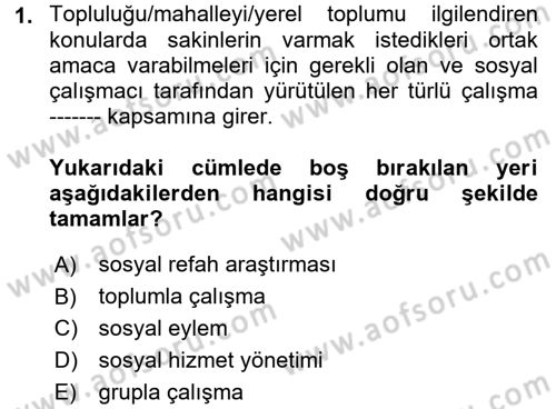 Sosyal Hizmete Giriş Dersi 2017 - 2018 Yılı (Final) Dönem Sonu Sınavı 1. Soru