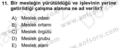 Sosyal Hizmete Giriş Dersi 2017 - 2018 Yılı (Final) Dönem Sonu Sınavı 11. Soru