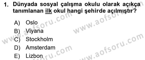 Sosyal Hizmete Giriş Dersi 2018 - 2019 Yılı (Final) Dönem Sonu Sınav Soruları 1. Soru