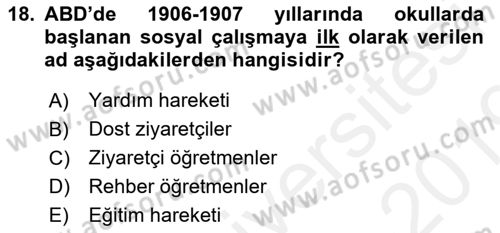 Sosyal Hizmete Giriş Dersi 2018 - 2019 Yılı (Final) Dönem Sonu Sınav Soruları 18. Soru
