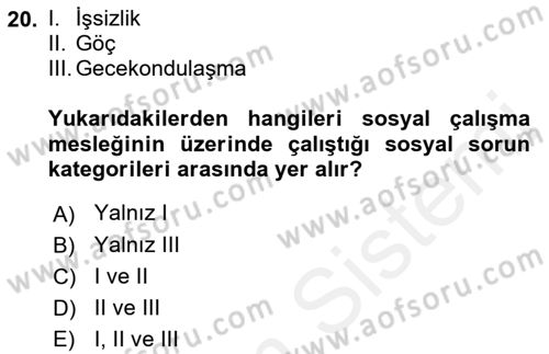 Sosyal Hizmete Giriş Dersi 2018 - 2019 Yılı (Final) Dönem Sonu Sınav Soruları 20. Soru