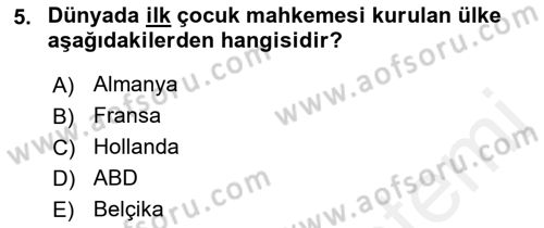 Sosyal Hizmete Giriş Dersi 2018 - 2019 Yılı (Final) Dönem Sonu Sınav Soruları 5. Soru