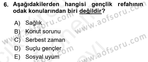 Sosyal Hizmete Giriş Dersi 2018 - 2019 Yılı (Final) Dönem Sonu Sınav Soruları 6. Soru