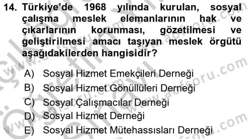Sosyal Hizmete Giriş Dersi 2018 - 2019 Yılı Yaz Okulu Sınav Soruları 14. Soru