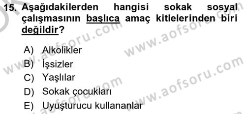 Sosyal Hizmete Giriş Dersi 2018 - 2019 Yılı Yaz Okulu Sınav Soruları 15. Soru