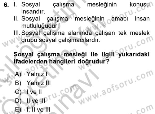 Sosyal Hizmete Giriş Dersi 2018 - 2019 Yılı Yaz Okulu Sınav Soruları 6. Soru