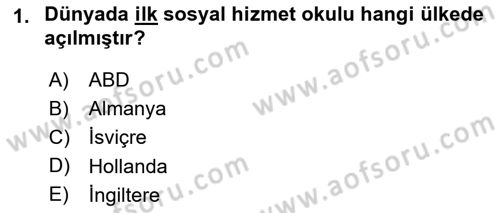 Sosyal Hizmete Giriş Dersi 2019 - 2020 Yılı (Vize) Ara Sınavı 1. Soru