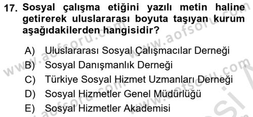 Sosyal Hizmete Giriş Dersi 2019 - 2020 Yılı (Vize) Ara Sınav Soruları 17. Soru