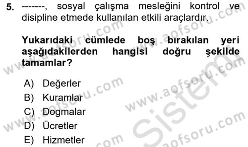 Sosyal Hizmete Giriş Dersi Ara Sınavı Deneme Sınav Soruları 5. Soru