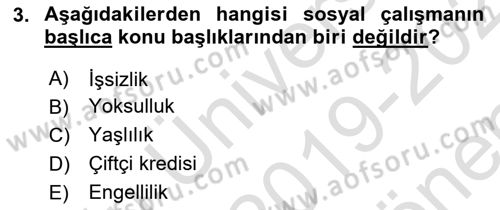 Sosyal Hizmete Giriş Dersi 2019 - 2020 Yılı (Final) Dönem Sonu Sınav Soruları 3. Soru