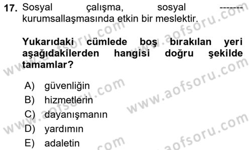 Sosyal Hizmete Giriş Dersi 2021 - 2022 Yılı (Final) Dönem Sonu Sınav Soruları 17. Soru