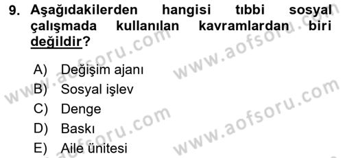 Sosyal Hizmete Giriş Dersi 2021 - 2022 Yılı (Final) Dönem Sonu Sınav Soruları 9. Soru