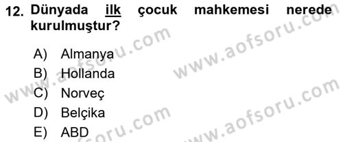 Sosyal Hizmete Giriş Dersi 2021 - 2022 Yılı Yaz Okulu Sınav Soruları 12. Soru