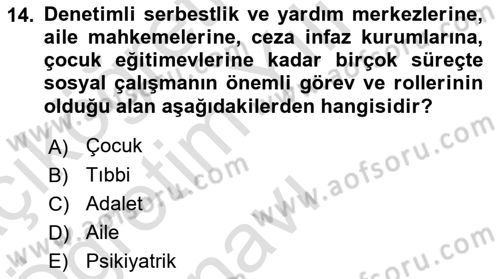 Sosyal Hizmete Giriş Dersi 2021 - 2022 Yılı Yaz Okulu Sınav Soruları 14. Soru