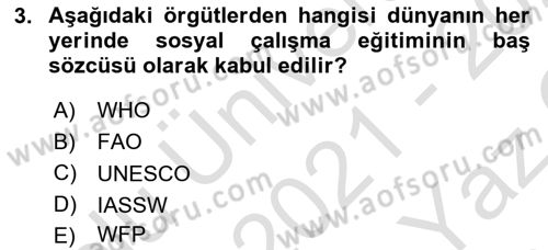 Sosyal Hizmete Giriş Dersi 2021 - 2022 Yılı Yaz Okulu Sınav Soruları 3. Soru