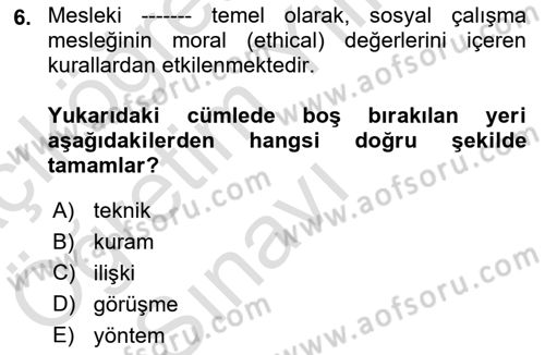 Sosyal Hizmete Giriş Dersi 2021 - 2022 Yılı Yaz Okulu Sınav Soruları 6. Soru