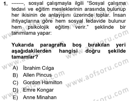 Sosyal Hizmete Giriş Dersi 2022 - 2023 Yılı (Final) Dönem Sonu Sınavı 1. Soru