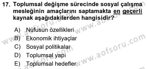 Sosyal Hizmete Giriş Dersi 2022 - 2023 Yılı (Final) Dönem Sonu Sınavı 17. Soru