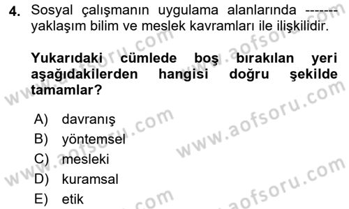 Sosyal Hizmete Giriş Dersi 2022 - 2023 Yılı (Final) Dönem Sonu Sınavı 4. Soru