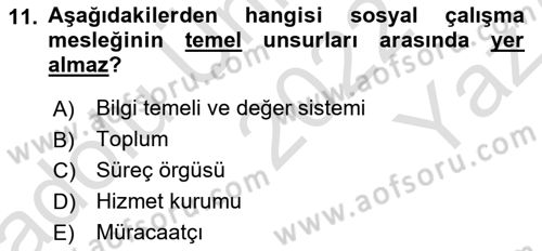 Sosyal Hizmete Giriş Dersi 2022 - 2023 Yılı Yaz Okulu Sınav Soruları 11. Soru