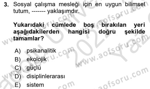 Sosyal Hizmete Giriş Dersi 2022 - 2023 Yılı Yaz Okulu Sınav Soruları 3. Soru