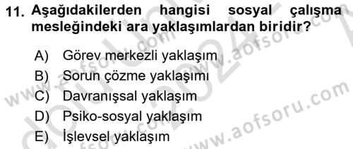 Sosyal Hizmete Giriş Dersi Ara Sınavı Deneme Sınav Soruları 11. Soru