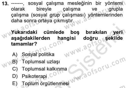 Sosyal Hizmete Giriş Dersi Ara Sınavı Deneme Sınav Soruları 13. Soru