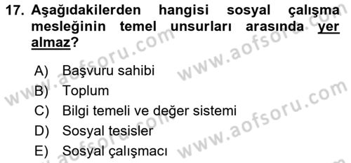 Sosyal Hizmete Giriş Dersi 2024 - 2025 Yılı (Vize) Ara Sınav Soruları 17. Soru
