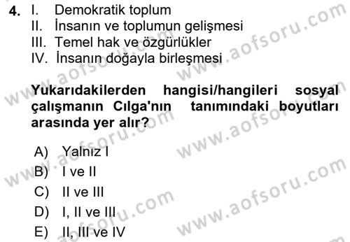 Sosyal Hizmete Giriş Dersi Ara Sınavı Deneme Sınav Soruları 4. Soru