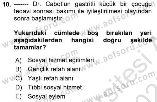 Sosyal Hizmete Giriş Dersi 2024 - 2025 Yılı (Final) Dönem Sonu Sınav Soruları 10. Soru