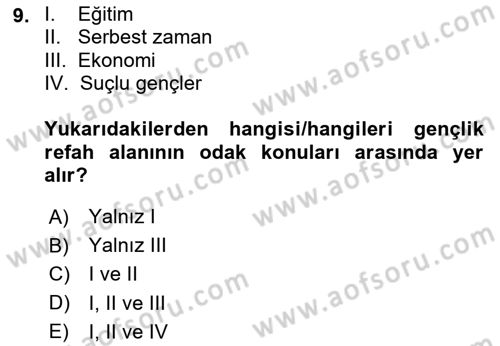 Sosyal Hizmete Giriş Dersi 2024 - 2025 Yılı (Final) Dönem Sonu Sınav Soruları 9. Soru